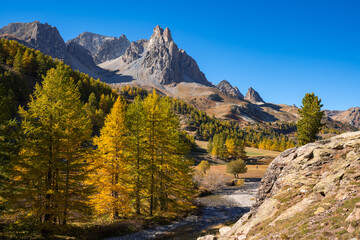 Fototapeta na wymiar Claree Valley with larch trees in full Autumn colors. Cerces Massif with the famous Main de Crepin (Hand of Crepin) peak. Vallee de la Claree, Nevache, Hautes Alpes (05), Alps, France
