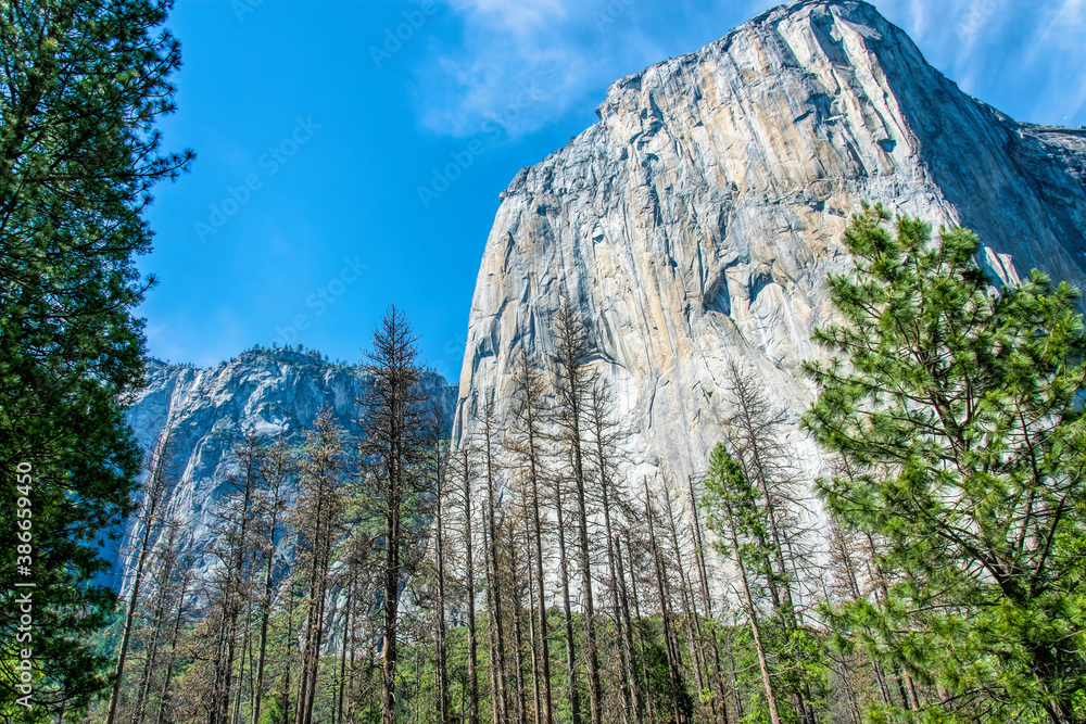 Poster El Capitan Cliff in Yosemite National Park, California