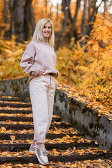 Woman enjoying autumn weather. Autumn portrait of a girl. Walk through the autumn park.