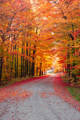 Beautiful autumn country road surrounded by colorful fall foliage.