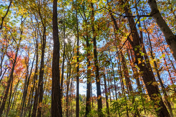 Beautiful Autumn Landscape in Cuyahoga Valley National Park, Ohio, USA