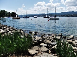 Fototapeta na wymiar Sailboats on Lake Zurich, Switzerland