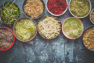 Various types of micro greens in colorful bowls on slate background. Fresh garden products