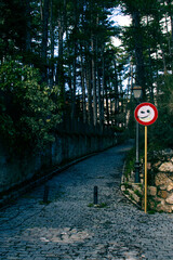Un camino empedrado, con una se&ntilde;al que hace contraste con el ambiente de bosque del fondo