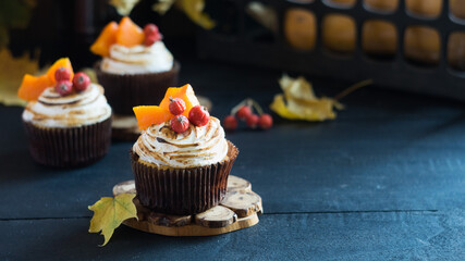Homemade pumpkin muffins cupcakes decorated with meringue, berries and pieces of pumpkin on black wooden table. Selective focus, copyspace