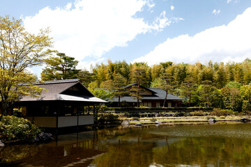 Fototapeta na wymiar 昭和記念公園の日本庭園