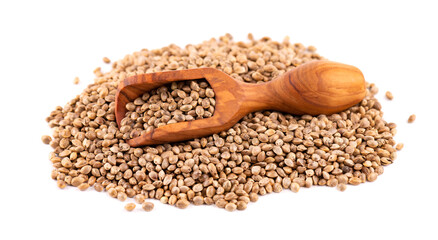 Hemp seeds isolated on white background. Dry seeds of cannabis, hemp or marijuana in wooden scoop.