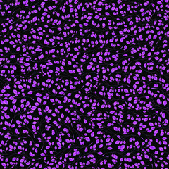 Branches with purple leaves on a black background. Seamless Vector illustration. Stylish background with graphic leaves. Use for wallpaper, web design, surface textures, textile prints, wrapping, etc.