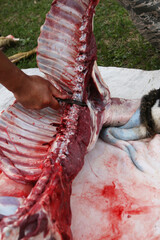 a butcher cuts an animal carcass into meat for eating with a knife