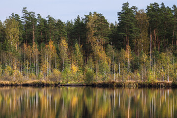 Autumn forest behind the lake. Trees are reflected in a calm water.