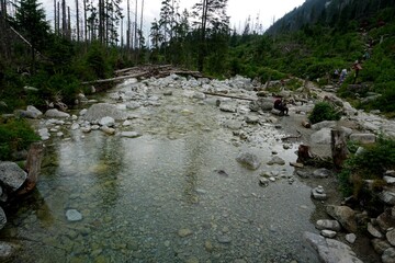 Mountain river and waterfall in High Tatras National Park, Slovakia