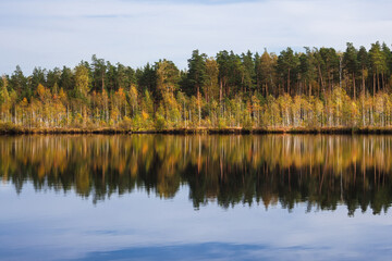 Fototapeta na wymiar Autumn forest behind the lake. Trees are reflected in a calm water.