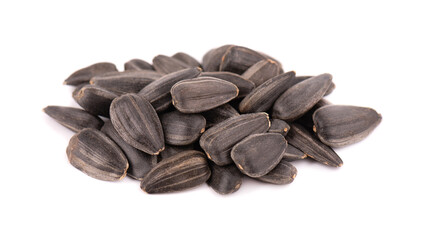 Sunflower seeds isolated on white background. Pile of fried sunflower seeds.