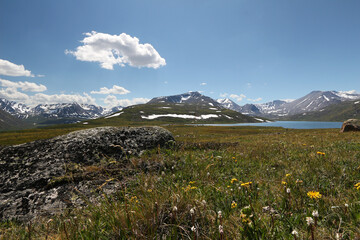 mountain landscape of taiga mountains and blue sky