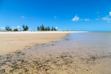 beach in Mozambique