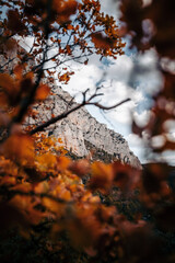 un bout de la montagne se dessine, background