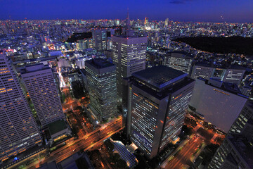 Fototapeta na wymiar 西新宿ビル群夜景俯瞰