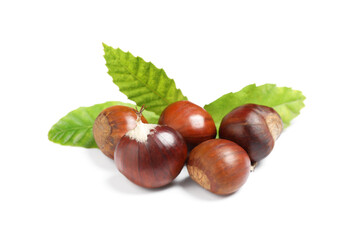 Fresh sweet edible chestnuts with green leaves on white background