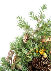 Obraz premium Christmas decor with wild berries, conifer cones, spruce branches on white background