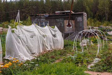 A small greenhouse for cucumbers in the garden. Vegetable patch with seedlings covered with spunbond to keep humidity and against ground frost in the garden.