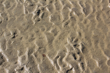 Structures in the sand in back-lighting