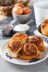 Freshly baked wheat buns with poppy seeds on the white plate