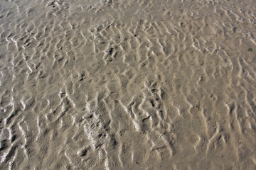 Structures in the sand in back-lighting