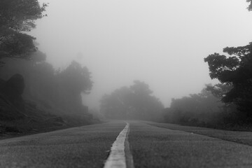 Mountain road in fog