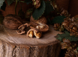 Walnuts on a wooden stump