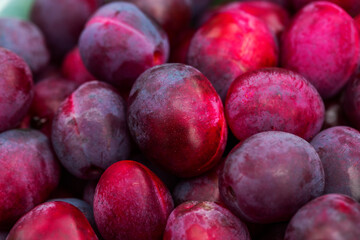 Food background. Plum close-up. Fresh fruits. Harvesting in agriculture and gardening. Healthy food, vegetarianism