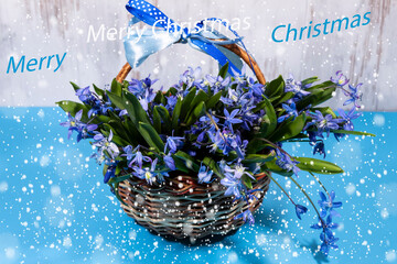 A wicker basket with snowdrops and a bow on the handle stands against a blue background. Snowflakes are flying around. At the top there is an inscription: "Merry Christmas"..