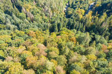 View from above of a brightly colored deciduous forest near Reckenroth / Germany in Rhineland-Palatinate