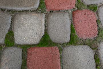 Background. Texture. Green moss grew between the paving slabs.