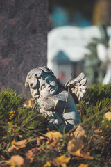 Remembrance concept: White angel on a grave, flowers
