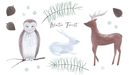 Winter Forest. Hand-drawn isolated illustrations set. Forest animals and plants.