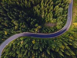 Aerial top view of curvy mountain road goingthroughthe pine forest.