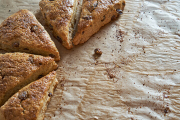 Traditional fresh baked English homemade scones with raisins for breakfast.  