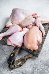 Fresh raw chicken meat, wings, breast, thigh and drumsticks. White background. Top view