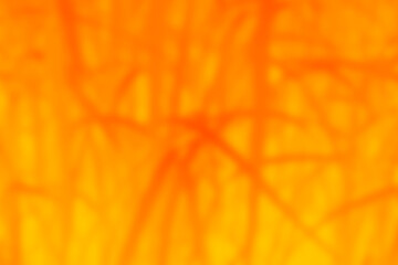 Abstract orange texture with beautiful pattern Blurred orange background Suitable for design