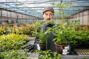 Male gardener with mustache offer plants and flowers to the clients in the greenhouse