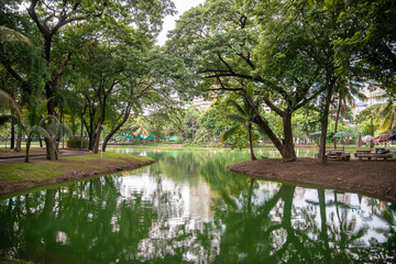 lumpini park green environment in capital of bangkok city