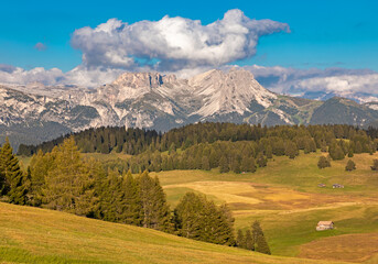 Seiser Alm, Alpe di Siusi, Südtirol mit Blick auf die Geisler Gruppe