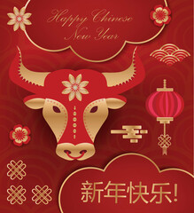 Happy Chinese New Year greeting card, template for your design. 2021 bull in the Chinese calendar. Vector illustration