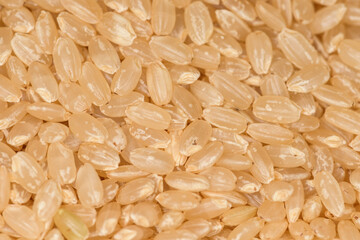 Close up of brown rice