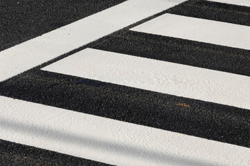 Fototapeta premium 横断歩道の白線