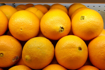 Fresh lemons in a bucket for your health promotion 