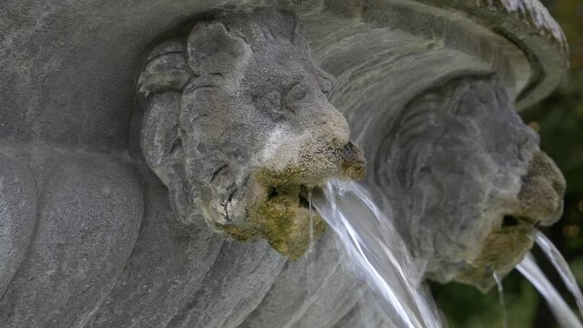 T&ecirc;te de lion fontaine &agrave; eau place des vosges
