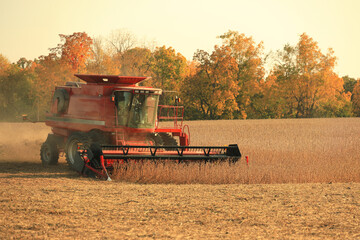 Oblique view of red combine harvesting soybeans in a dusty field in late afternoon in the Midwest,...