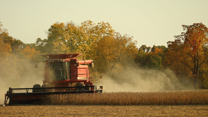 Front view of farmer using a re combine to harvest soybeans in a dusty field in late afternoon in...
