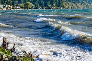 Windy Ocean Landscape 7